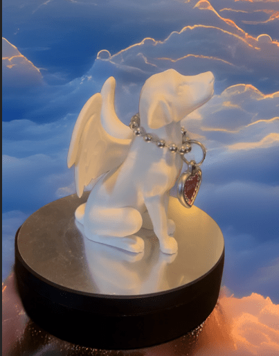 Angel Dog Memorial | Game Day Football Apparel | LNS Laser Engraver Designer LLC