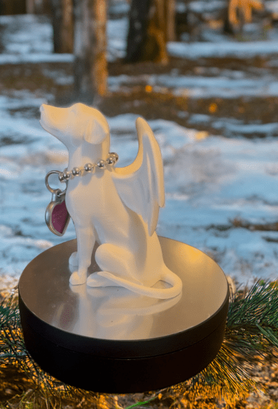 Angel Dog Memorial | Game Day Football Apparel | LNS Laser Engraver Designer LLC