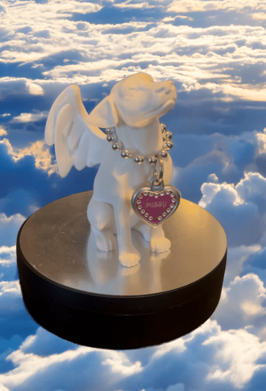 Angel Dog Memorial | Game Day Football Apparel | LNS Laser Engraver Designer LLC